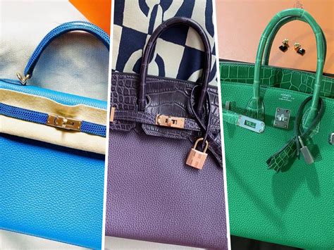 hermes monster tuch|exotic Hermes touch bags.